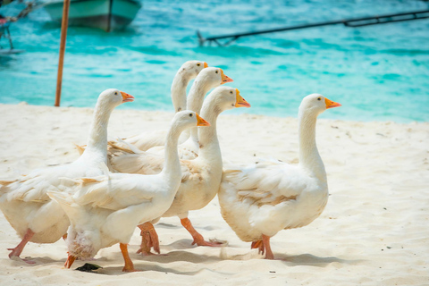 Phuket: Korallen-, Racha- und Maiton-Inseln Katamaranfahrt &amp; Mittagessen