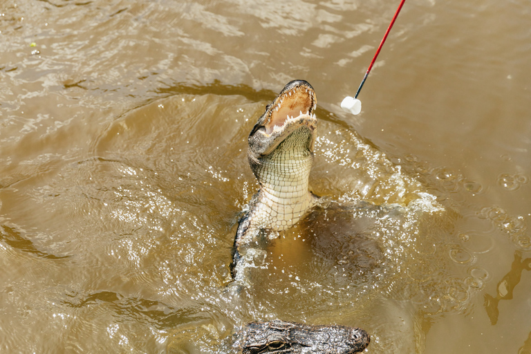 New Orleans: Swamp &amp; Bayou Boat Tour with Transportation