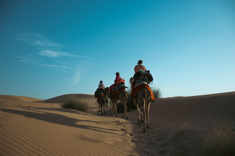 زيارة معالم جيسلمير مع جولة على الجمال ورحلة السفاري في الصحراء وخيارجولة في مدينة جيسالمير مع رحل