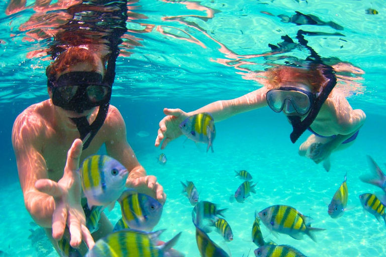 Cartagena: Excursão ao Oceanário das Ilhas do Rosário com SnorkelingPasseio de lancha rápida com 3 paradas no Oceanário das Ilhas do Rosário