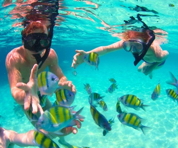 Cartagena: Rosario Islands with Oceanarium, Lunch & Snorkel
