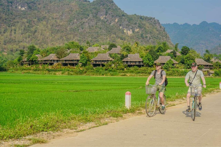 From Hanoi: Visit Hightlight Places Ninh Binh 1 Day or 2D1N Private Ninh Binh in 1 Day
