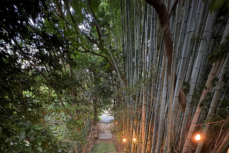Nagoya: Great Buddha & Treasures of Chikusa Walking Tour