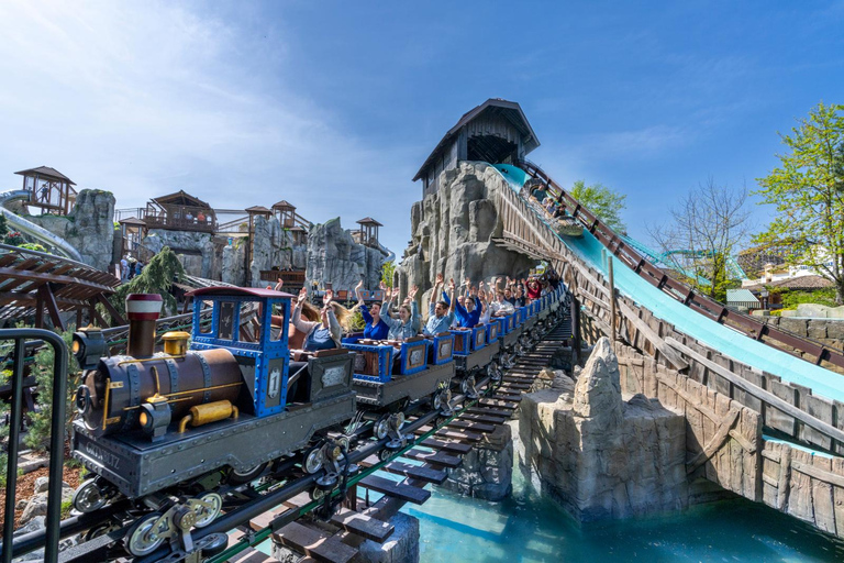 Basel: Europa-Park 1-day ticket with direct RailCoaster