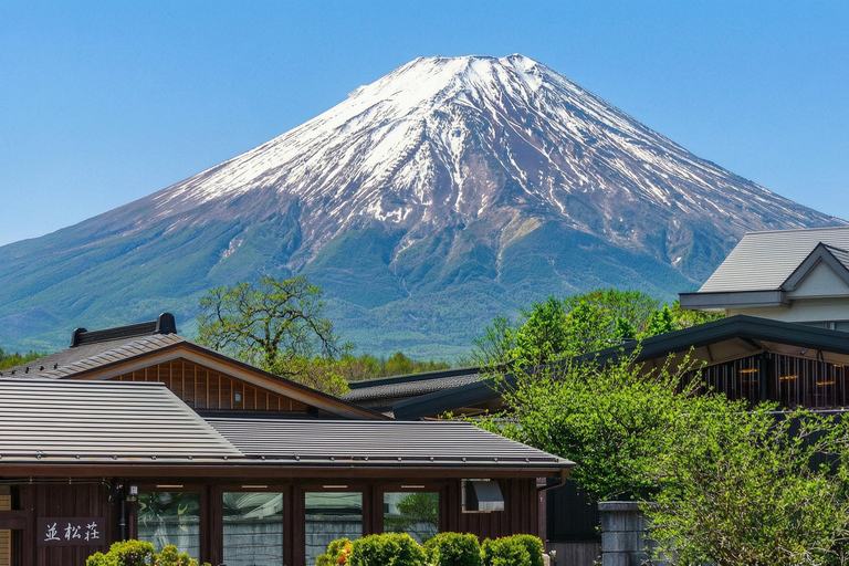 Mt. Fuji & Hakone Tour: Arakurayama, OshinoHakkai, Owakudani Tokyo Station | 7:30 AM Departure with English Guide