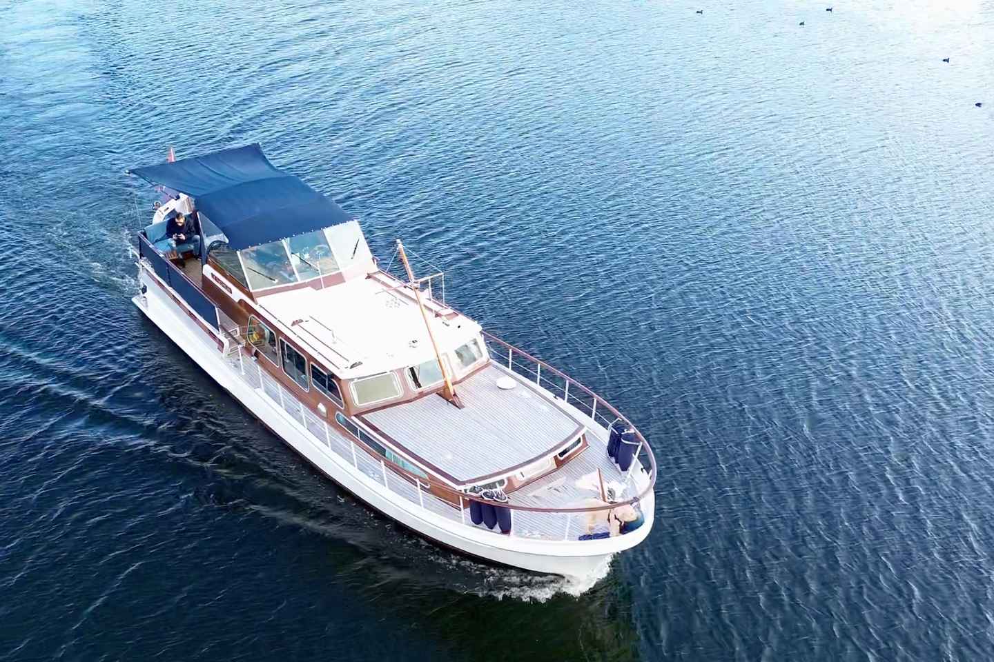 Drimmelen: Biesbosch Nature Reserve Boat Tour