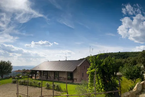 Arezzo: Local Winery Tour With Wine Tasting