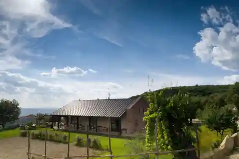 Arezzo: Local Winery Tour With Wine Tasting