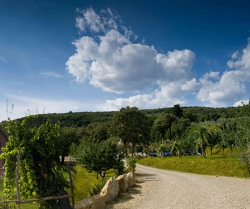 Arezzo: Visita a uma adega local com prova de vinhos