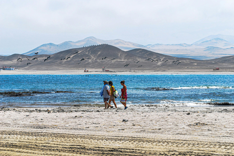 Paracas: Hike through the Paracas National Reserve
