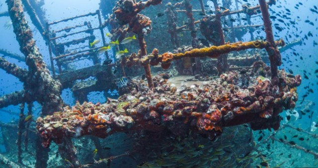 Visit La Paz Fang Ming Wreck Dive in La Paz, Mexico