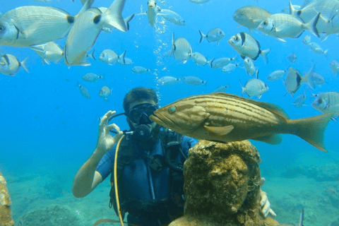Lateral: Tour de mergulho no Museu SubmarinoAtração: Tour de mergulho no Museu Subaquático