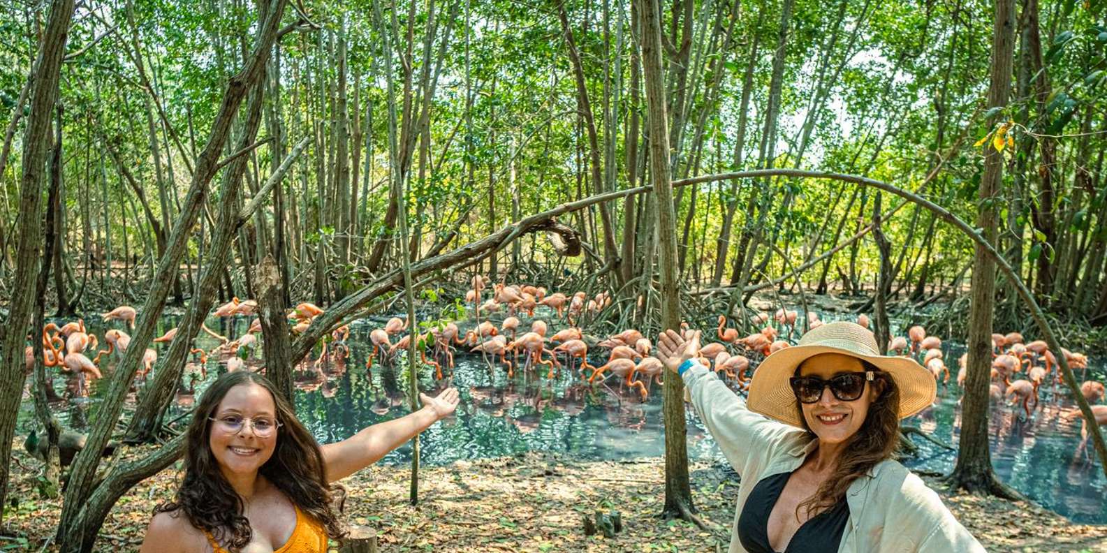 Isla Barú accès au club de plage et visite de la volière