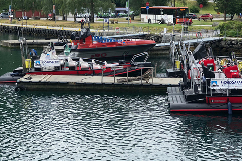 Ab Bergen: Tagestour mit Flam-Bahn und Fjord-Kreuzfahrt