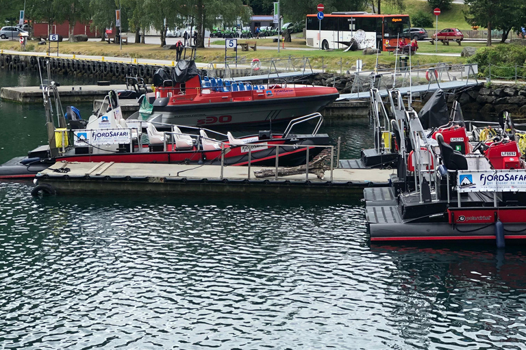 Från Bergen: Dagsutflykt med Flams järnväg och Fjordkryssning