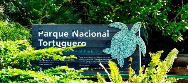 Visit Tortuguero National Park Best Things to Do in Tortuguero in Tortuguero