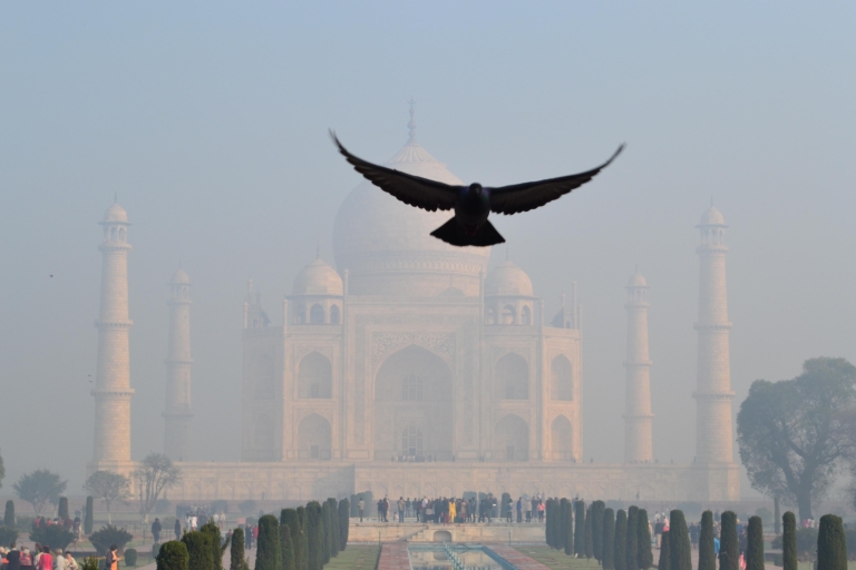 From Delhi: Private Taj Mahal and Agra Car Tour with Meals Tour with AC Car, Driver and Guide