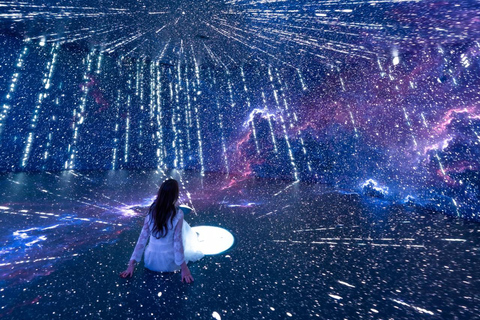 Osaka: MIRACLE WORLD Digital Art Admission Pass(E-ticket)