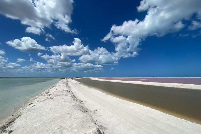 Rio Lagartos et Las Coloradas : EcoSafari Flamingo DeluxRio Lagartos et Las Coloradas : EcoSafari Flamingo Deluxe