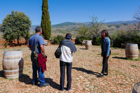 Alpujarra : visite des vignobles et apéritif local dans une cave biologique