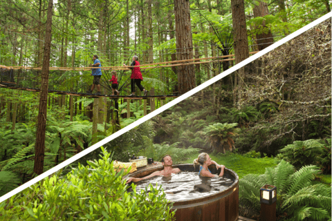 Auckland: Rotorua Day Tour with Redwoods Treewalk & Hot Tubs