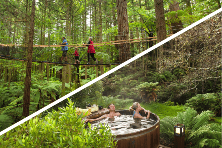 Auckland: Rotorua Day Tour with Redwoods Treewalk & Hot Tubs