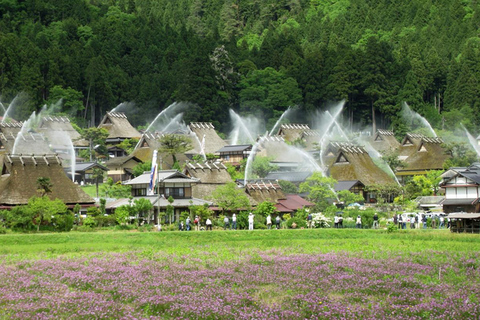 Kyoto: Miyama Village, Amanohashidate, and Ine Bay Day Trip