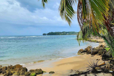 Ilha Colon: Ilha dos Pássaros, Boca del Drago e Praia da Estrela do Mar...