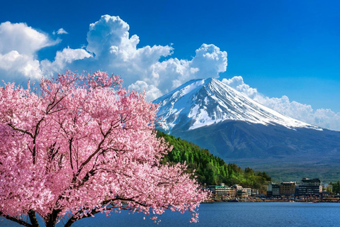 Mount Fuji, Oshino Hakkai & Outlet Onsen Day Tour From Tokyo Departure From Tokyo Station