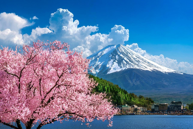 Mount Fuji, Oshino Hakkai & Outlet Onsen Day Tour From Tokyo Departure From Tokyo Station