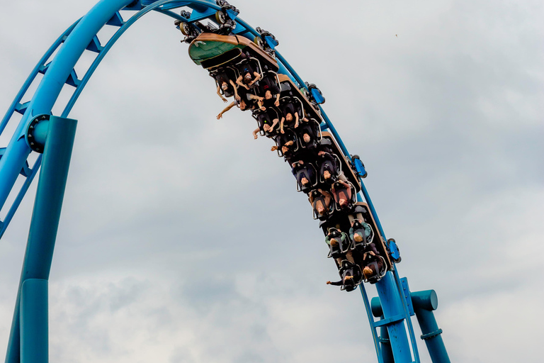 Zator: Energylandia Amusement Park Entry Ticket