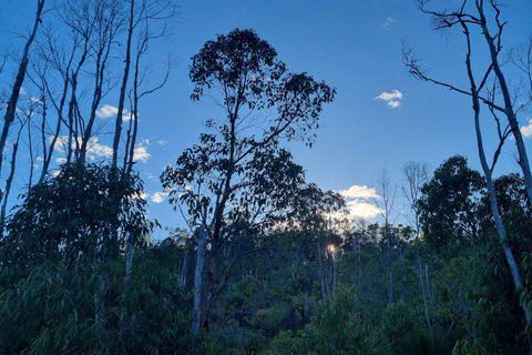 Perth: Bickley Valley Hiking Experience with Morning Tea