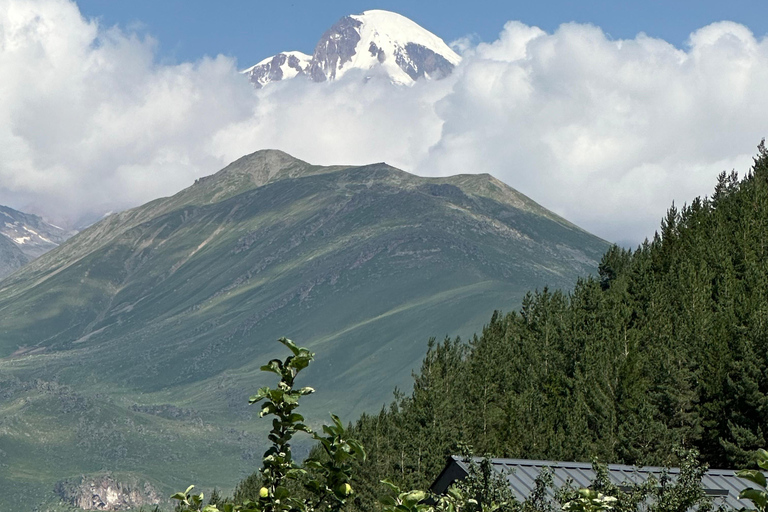 Private Transfer: Batumi Airport to Kazbegi