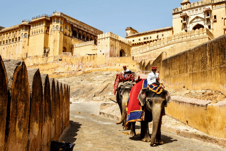 Jaipur Private City Tour with Guide, Car & Skip-the-Line