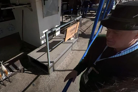 Tour virtual em vídeo 360 Oktoberfest Munique com WolfgangTour virtual em vídeo 360º da Oktoberfest de Munique com Wolfgang