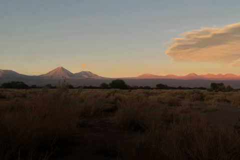 Passeio pelas lagoas Cejar e Tebenquiche com Ojos del Salar Atacama