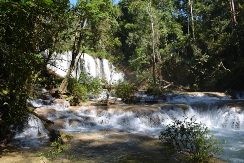 Aventura en la Selva Lacandona y Sitio Arqueológico de Bonampak