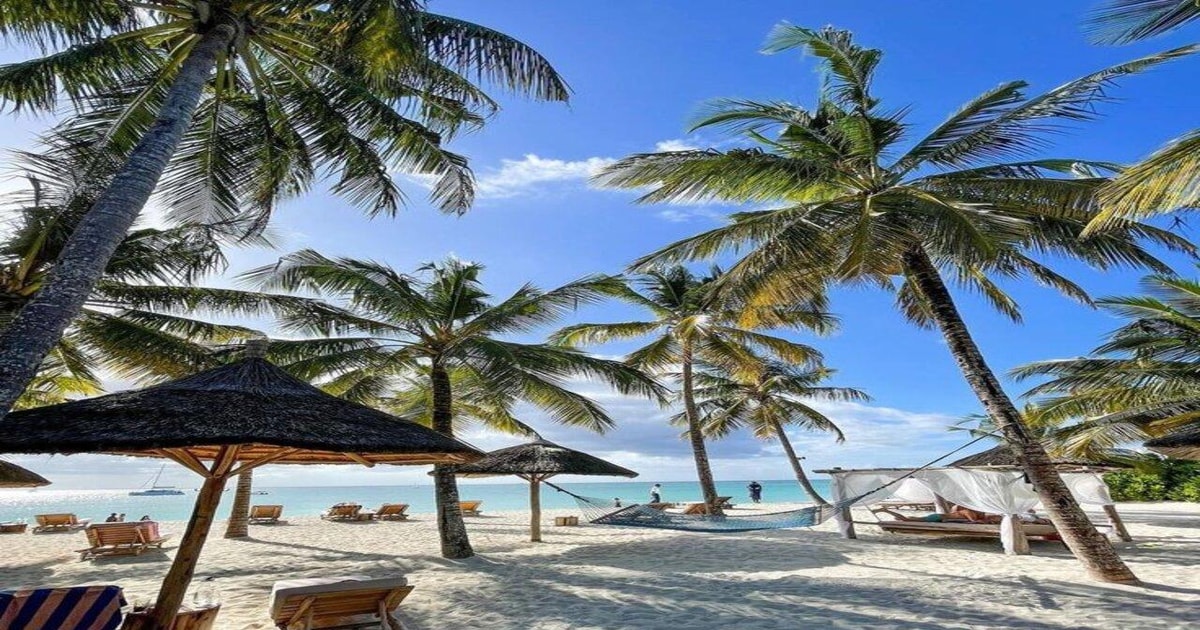 Zanzibar 5 Day Beach And Stone Town Package Getyourguide