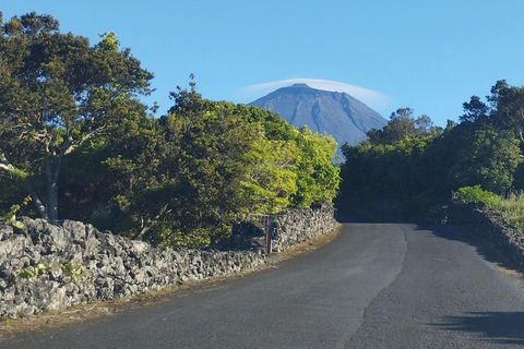 Pico Grand Tour: Volcanoes, UNESCO Vineyards & Local Culture