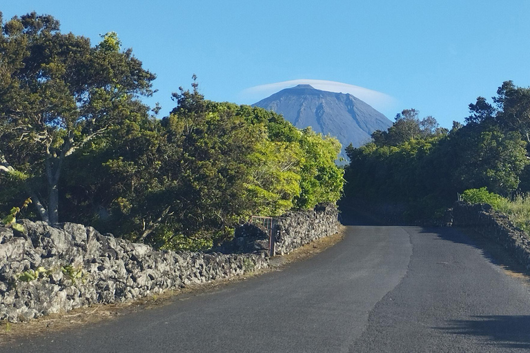 Pico Grand Tour: Volcanoes, UNESCO Vineyards & Local Culture