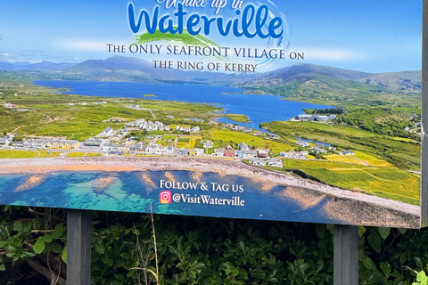 Belfast: Private Custom Tour with Driver and Guide