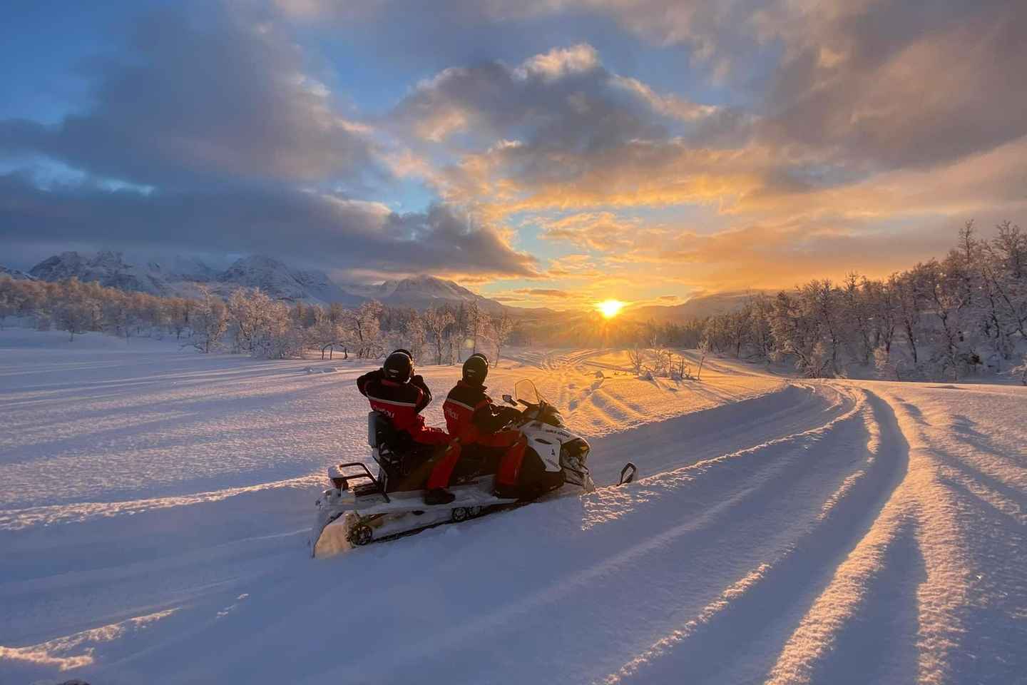 Tromso: Avventura in motoslitta di lusso nelle Alpi di Lyngen