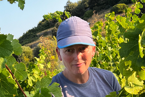 Beziers: Eco Wine Tasting at Sarabande Wines Off-Grid Winery