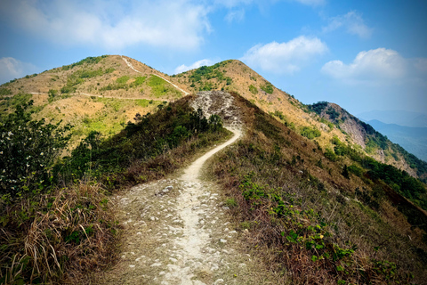 Ma On Shan Ridge & Hunchbacks Advanced Hike (Full Day)