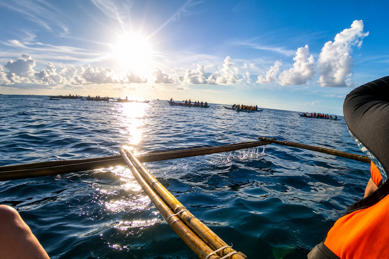 Cebu: Oslob Whale Shark Swimming Experience with Transfer
