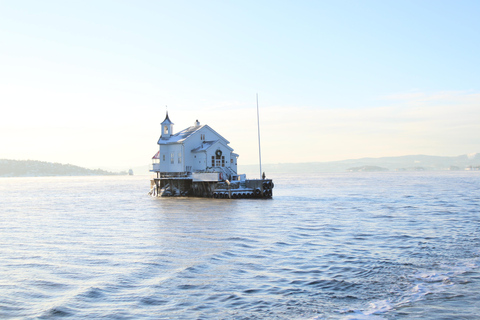 Oslo: Oslofjord Electric Boat Cookie Cruise