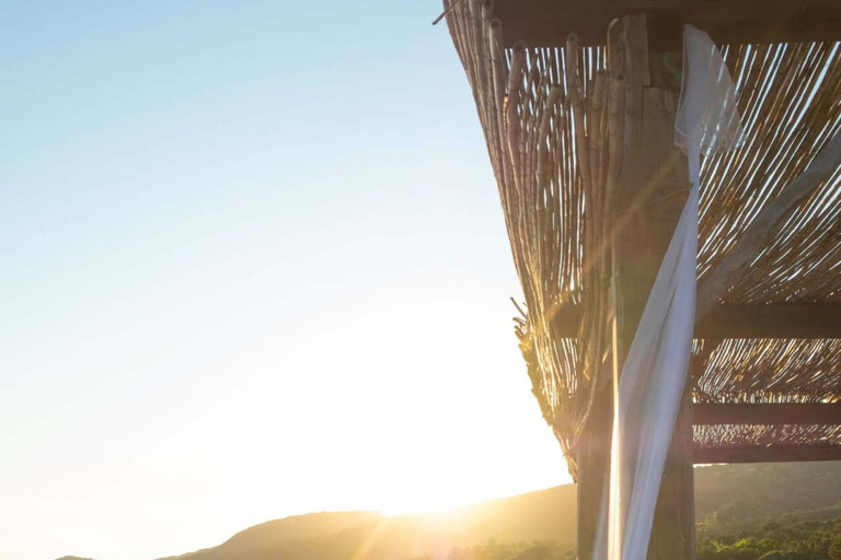 Ajaccio: excursão particular de catamarã de 1 dia com Chez FrancisAjaccio: excursão particular de 1 dia em catamarã com Chez Francis