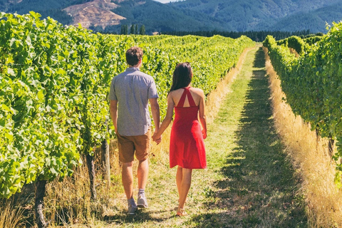 Le Cap : visite des vignobles pour les amateurs de vin avec transfert privé