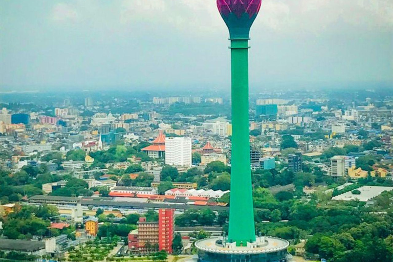 Muthurajawela Bird Watching Boat Tour & Colombo City Tour Tour from Bentota, Ahungalla, Hikkaduwa