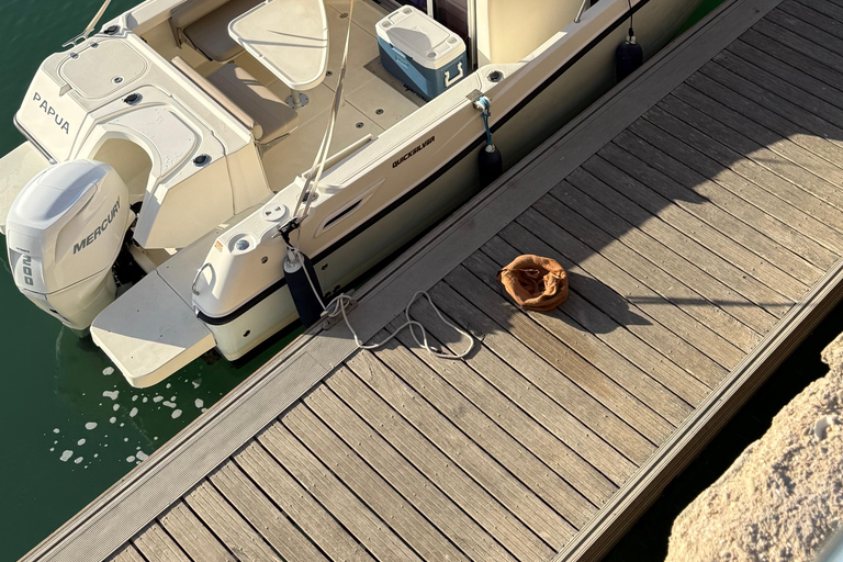 Amazing 2-hour boat tour of the Bay of Cadiz Amazing 2-hour boat tour of Cadiz Bay